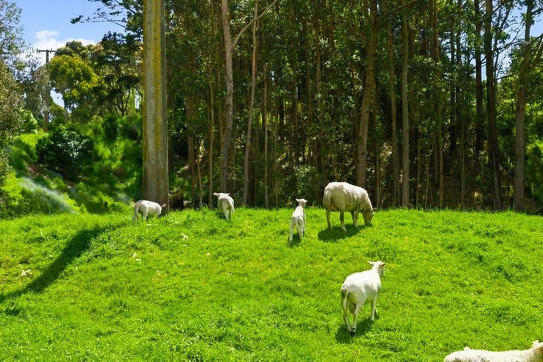 Photo of property in 340d Ngarara Road, Waikanae, 5391