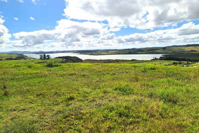 Photo of property in 304 Arapaoa Road, Tinopai, Matakohe, 0593