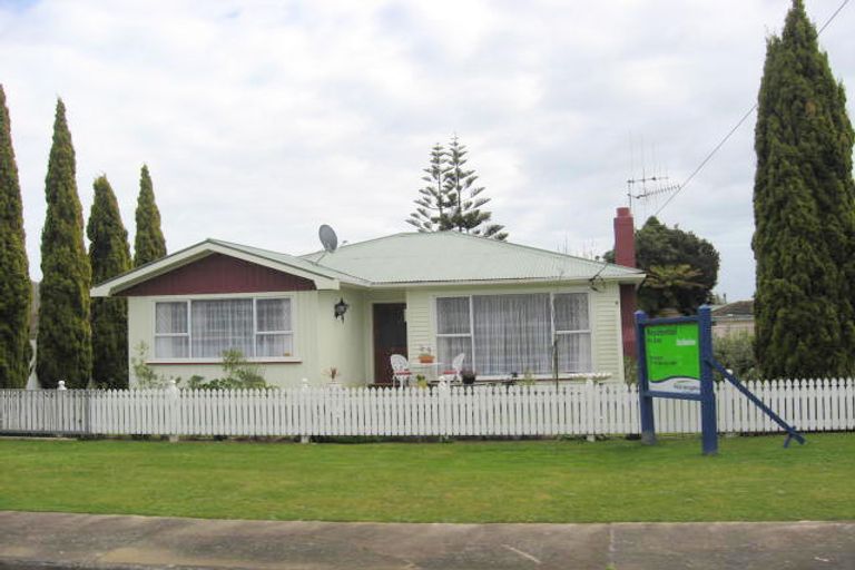 Photo of property in 17 Edinburgh Street, Levin, 5510