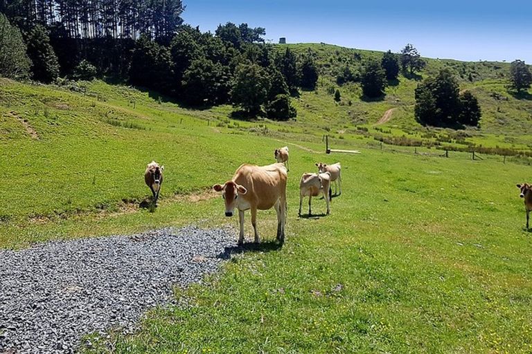 Photo of property in 538 Matakana Valley Road, Matakana, Warkworth, 0985