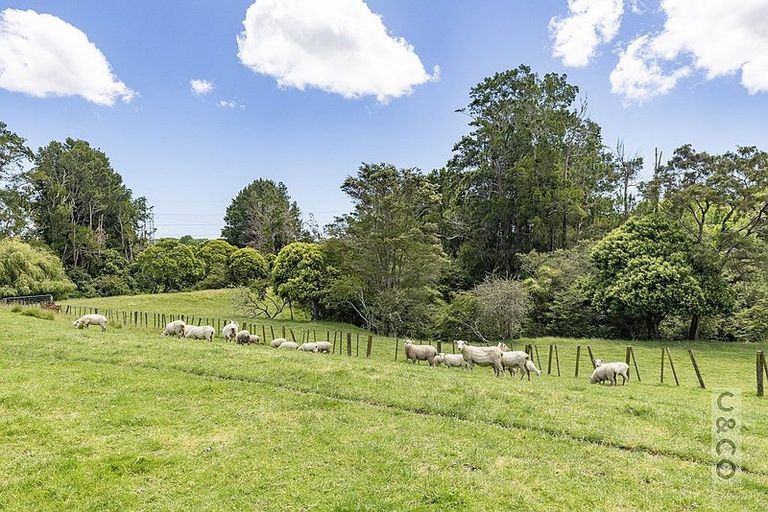 Photo of property in 522 State Highway 16, Kumeu, 0892