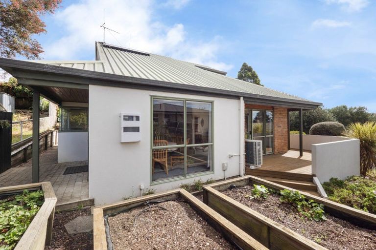 Photo of property in 144b Bellevue Road, Brookfield, Tauranga, 3110