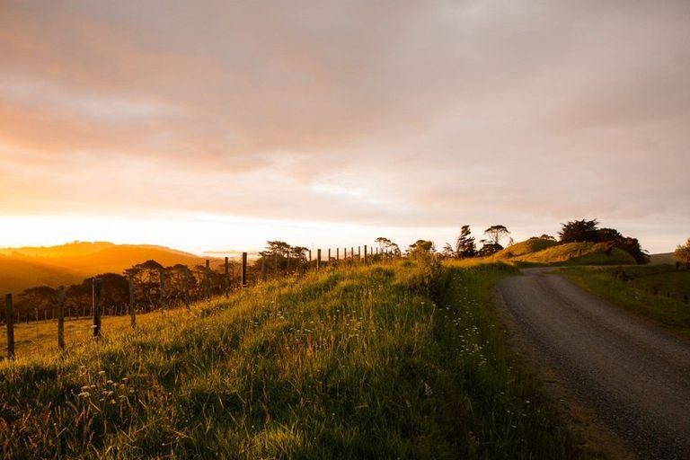 Photo of property in 307 Dill Road, Kaipara Flats, Warkworth, 0984