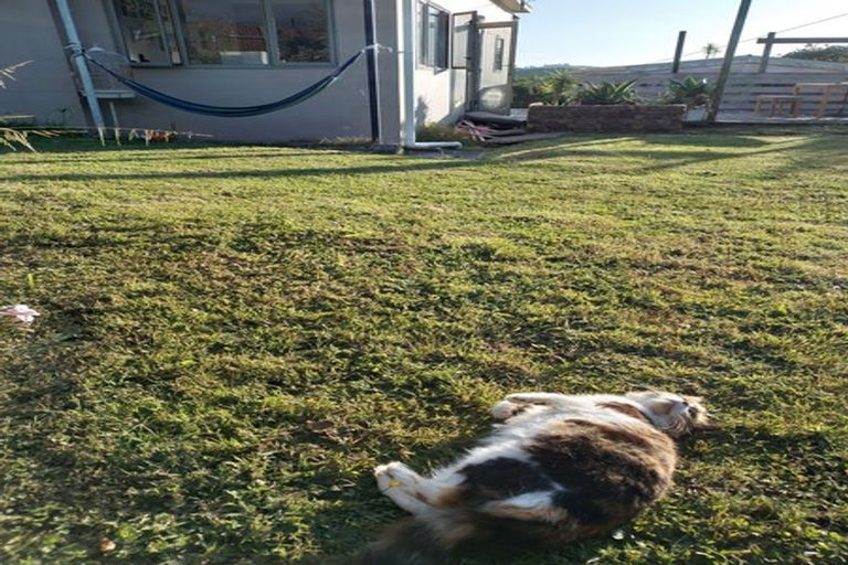 Photo of property in 71 Portland Road, Portland, Whangarei, 0178