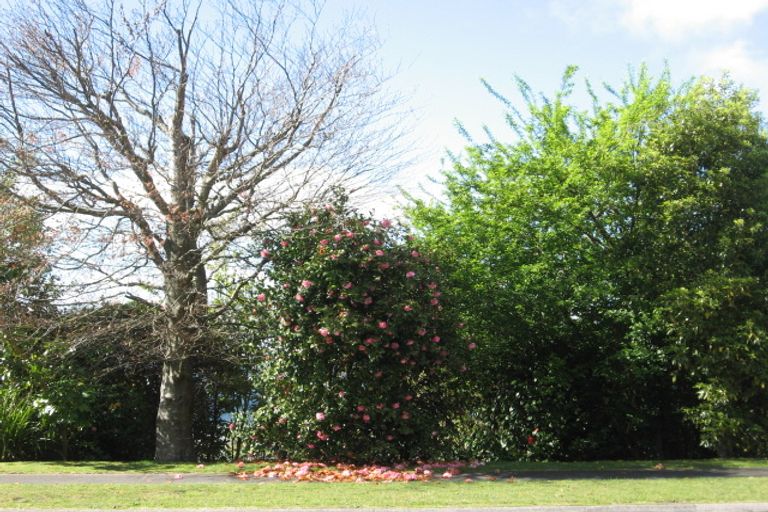 Photo of property in 81 Wakeman Road, Acacia Bay, Taupo, 3330