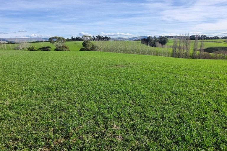 Photo of property in 41 Gray Road, Waitepeka, Balclutha, 9271