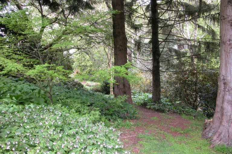 Photo of property in 38 Grammar Street, Kimbolton, 4777