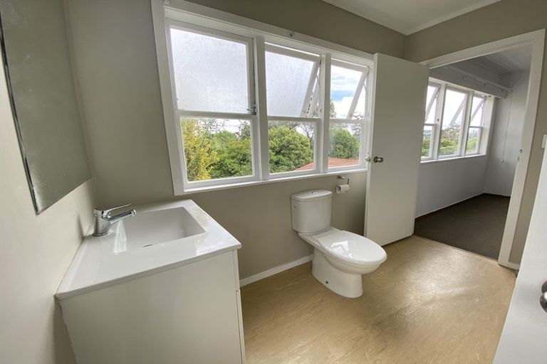 Photo of property in 41 Tudor Road, Henderson, Auckland, 0610