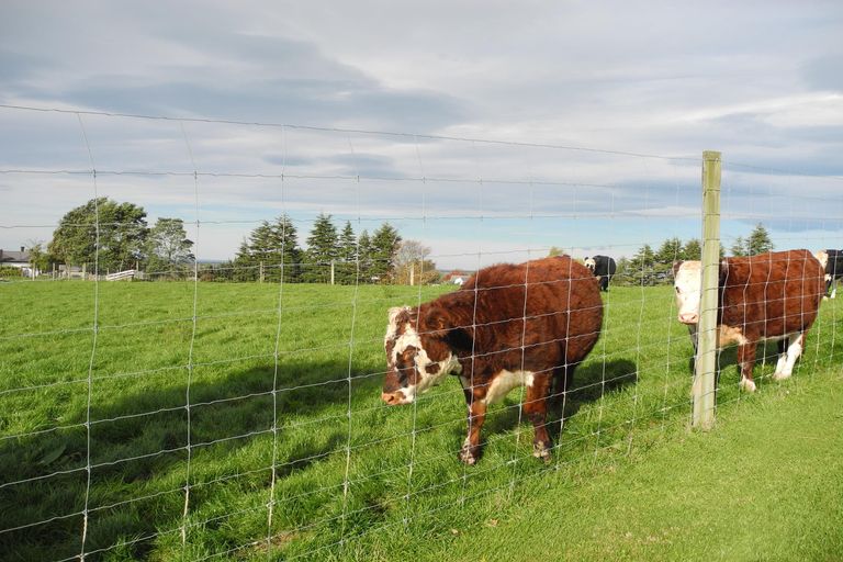 Photo of property in 151 Garlands Road, Waimate, 7979