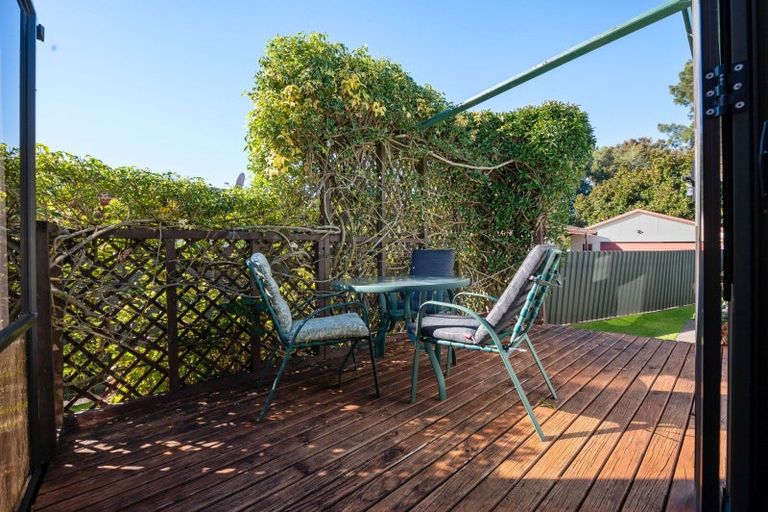 Photo of property in 17 Hibiscus Avenue, Hamilton Lake, Hamilton, 3204