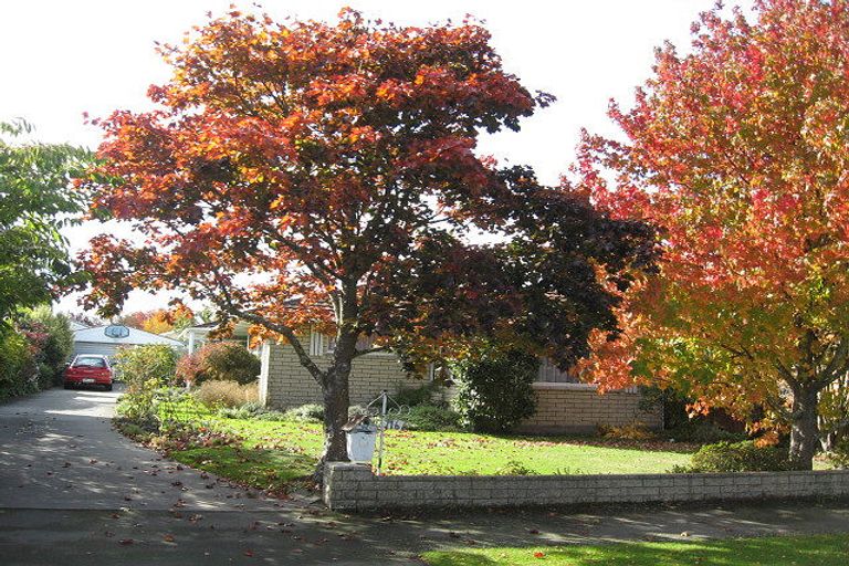 Photo of property in 16 Glenside Avenue, Ilam, Christchurch, 8041