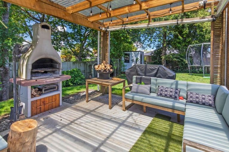 Photo of property in 101 Te Tomo Street, Te Awamutu, 3800