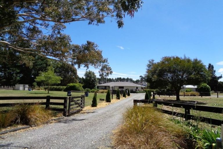 Photo of property in 277 Ridgens Road, Greendale, Christchurch, 7671