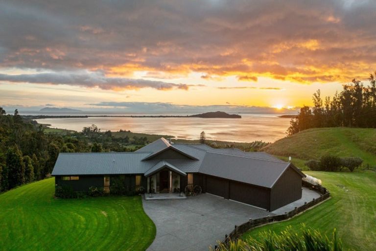 Photo of property in 1031b State Highway 2, Tanners Point, Katikati, 3177