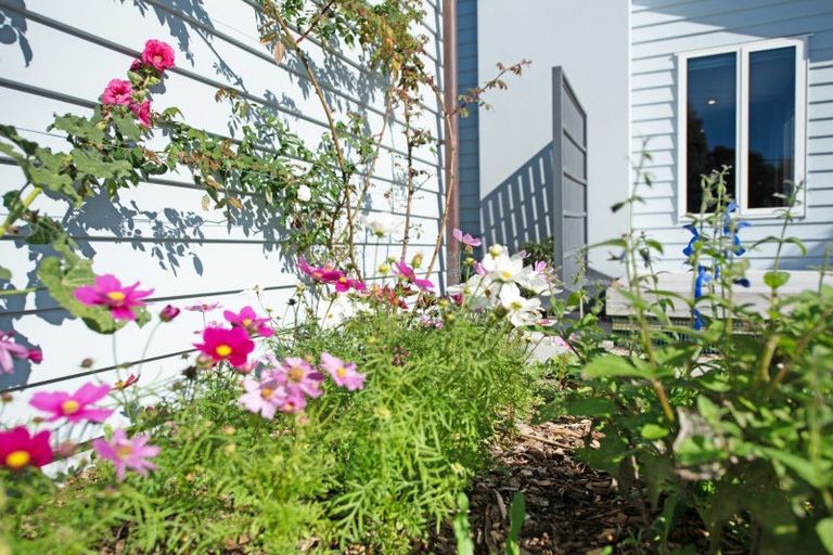 Photo of property in 8 Kaka Street, Waikanae, 5036