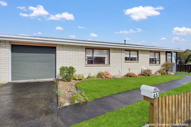 Photo of property in 45a Portia Street, Stratford, 4332