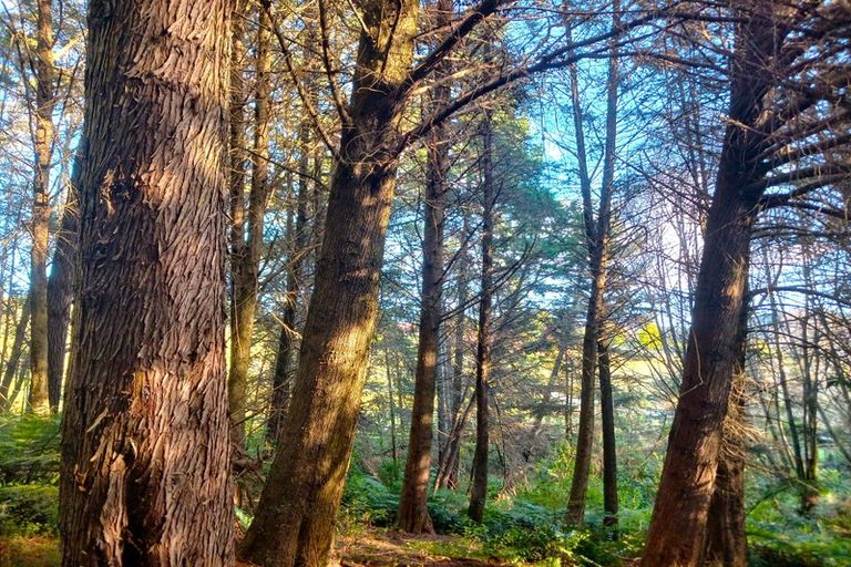 Photo of property in 99 Paranui Road, Taipa, Kaitaia, 0483