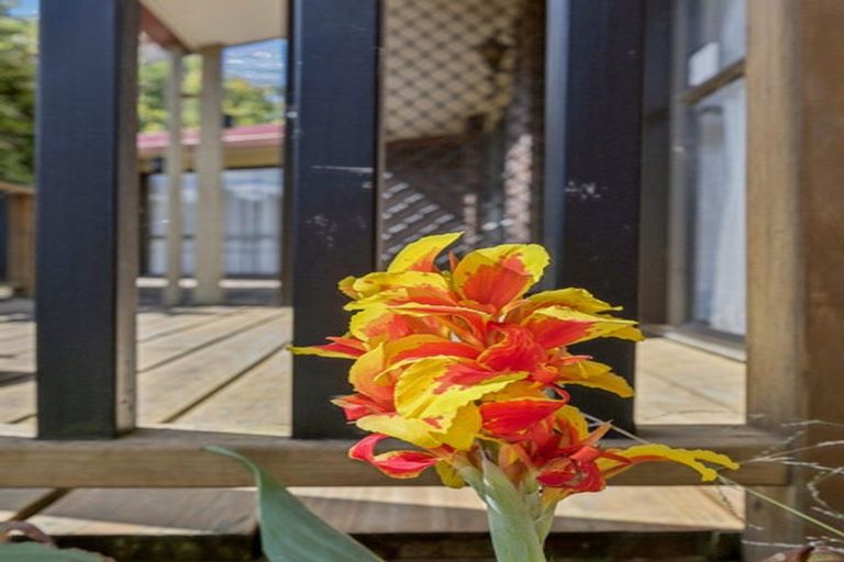 Photo of property in 78 Russell Road, Huntly, 3700