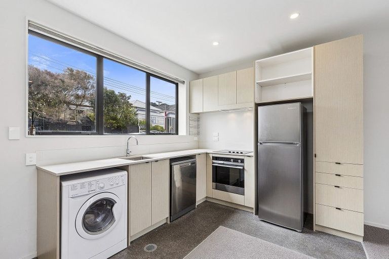 Photo of property in Aniva Terrace, 28 Ferguson Street, Newtown, Wellington, 6021