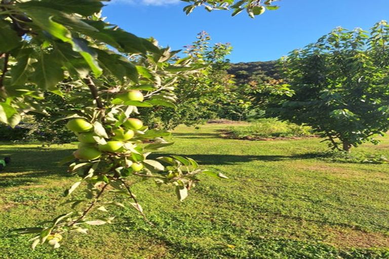 Photo of property in 14 Munson Street, Reefton, 7830