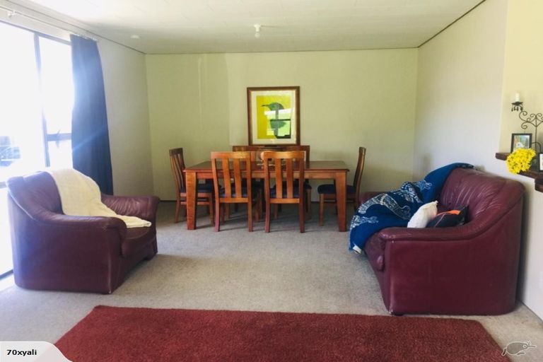 Photo of property in 15 Ness Street, Naseby, 9396