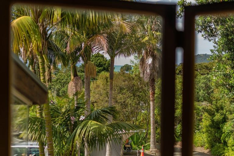 Photo of property in 969 Purangi Road, Cooks Beach, Whitianga, 3591