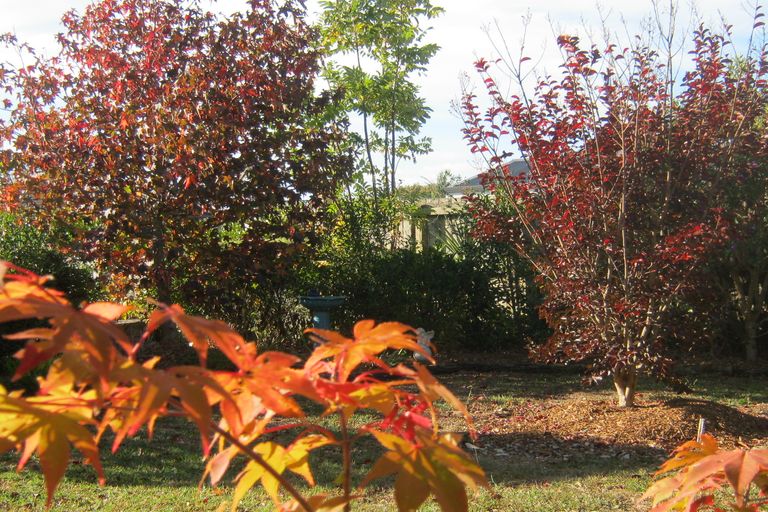 Photo of property in 9 Herons Lane, Mangawhai, 0505