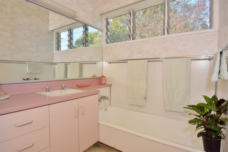 Photo of property in 19 Hinaki Street, Inner Kaiti, Gisborne, 4010