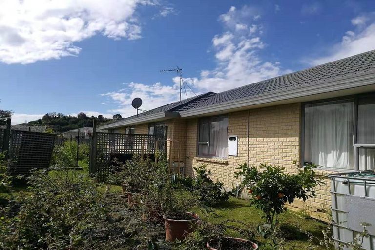 Photo of property in 50 Solomon Street, Brookfield, Tauranga, 3110