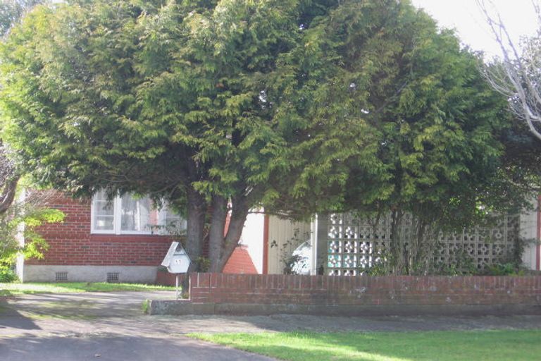 Photo of property in 11 Ihle Street, Terrace End, Palmerston North, 4410