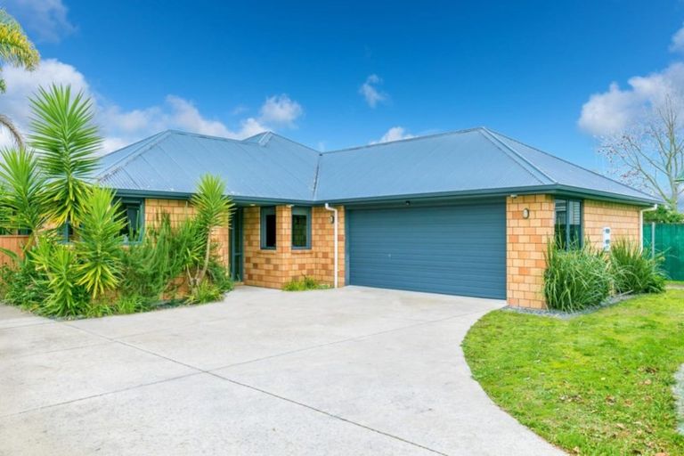 Photo of property in 1042a Heaphy Terrace, Fairfield, Hamilton, 3214