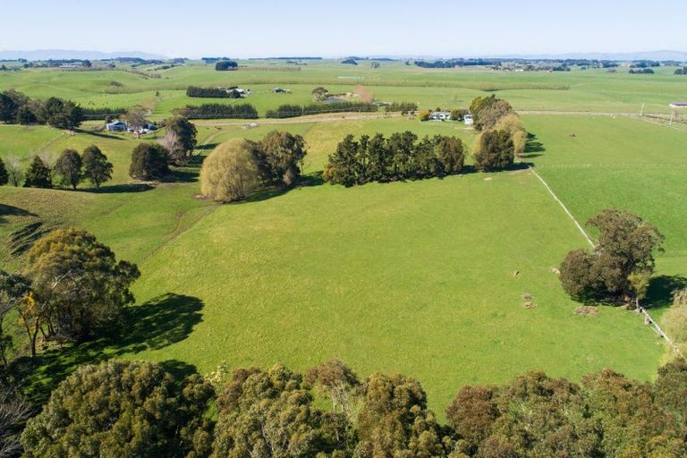 Photo of property in 161 Cemetery Road, Sanson, Palmerston North, 4479