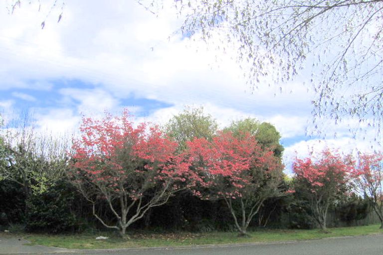 Photo of property in 57 Shepherd Road, Waipahihi, Taupo, 3330