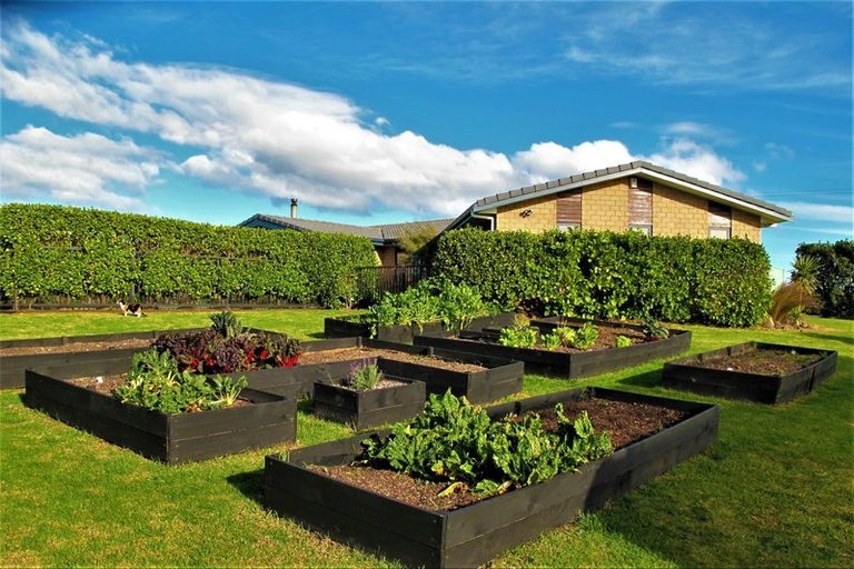 Photo of property in 113a Constable Road, Muriwai, Waimauku, 0881
