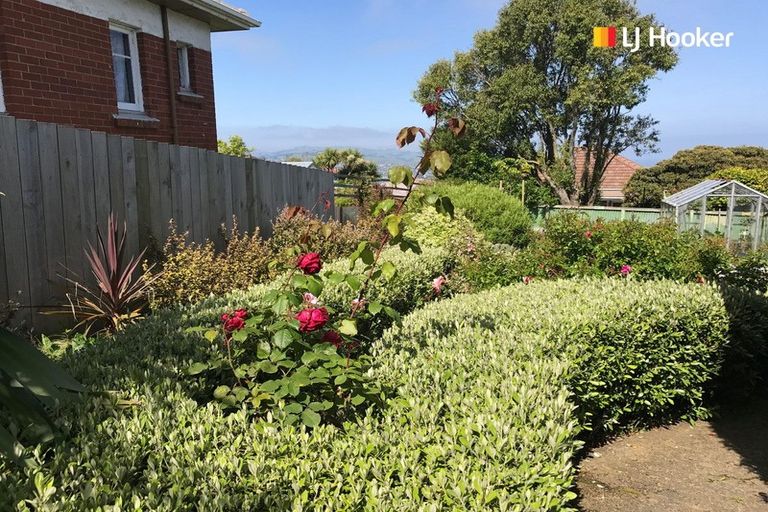 Photo of property in 8 Renfrew Street, Balaclava, Dunedin, 9011