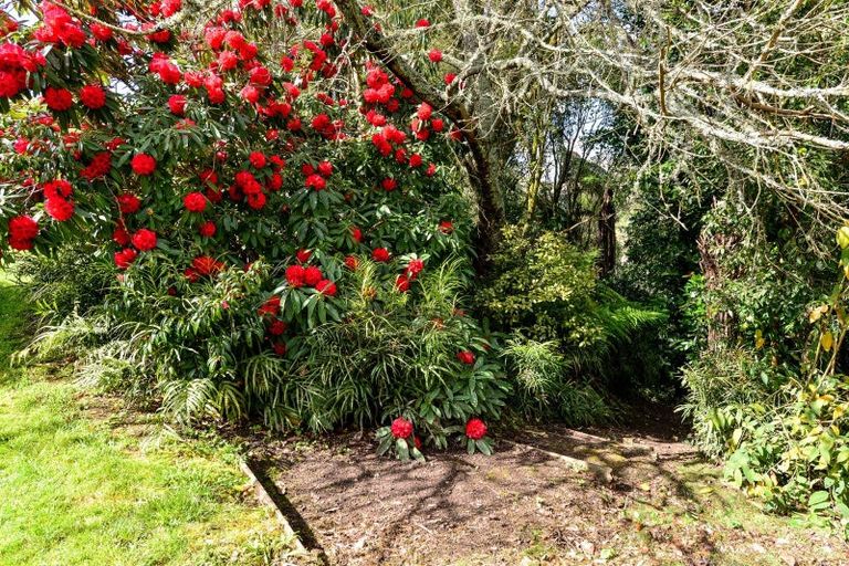 Photo of property in 83 Windmill Road, Tamahere, Hamilton, 3283