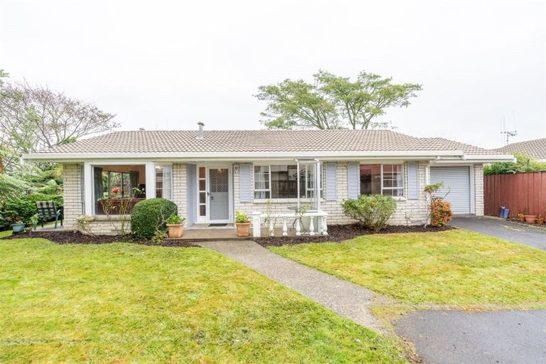 Photo of property in 117b Clarkin Road, Fairfield, Hamilton, 3214