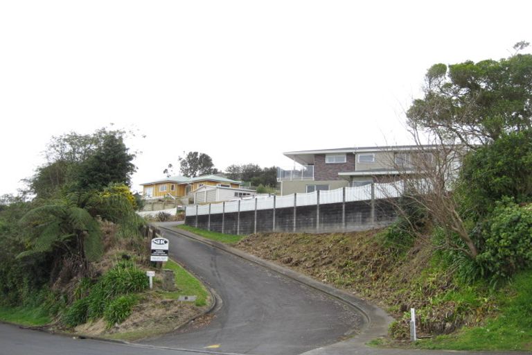 Photo of property in 20 Sycamore Grove, Lower Vogeltown, New Plymouth, 4310