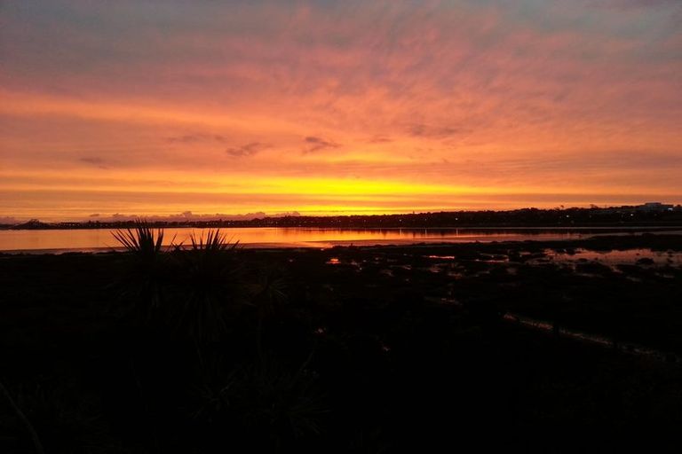 Photo of property in 1f Herbert Street, Hauraki, Auckland, 0622