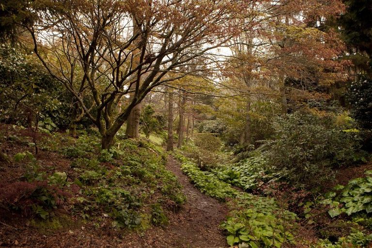 Photo of property in 38 Grammar Street, Kimbolton, 4777