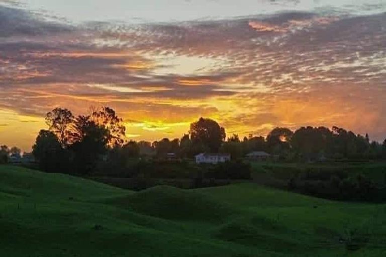 Photo of property in 20 Philip Street, Putaruru, 3411