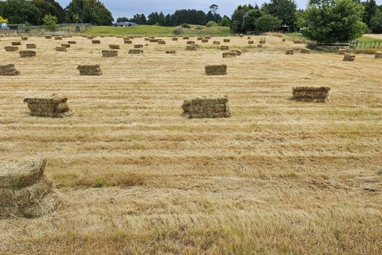 Photo of property in 965 Koputaroa Road, Koputaroa, Levin, 5575