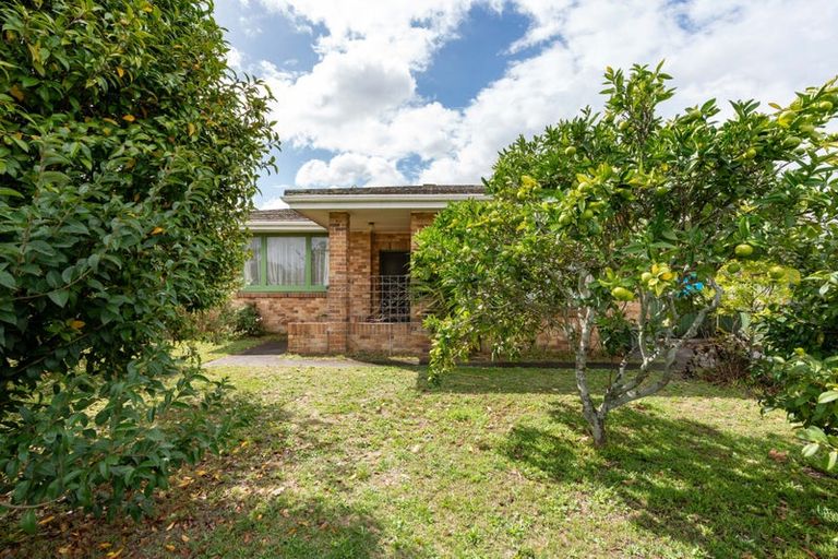 Photo of property in 56 Peachgrove Road, Hamilton East, Hamilton, 3216