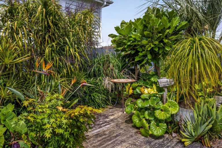 Photo of property in 24 Sanders Avenue, Westown, New Plymouth, 4310