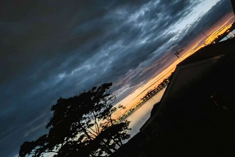 Photo of property in 157 Kingswood Road, Brookfield, Tauranga, 3110