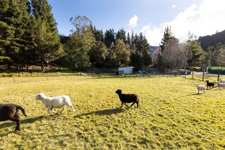 Photo of property in 861 Onamalutu Road, Onamalutu, Blenheim, 7275