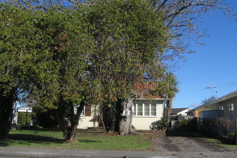 Photo of property in 605 Massey Street, Akina, Hastings, 4122