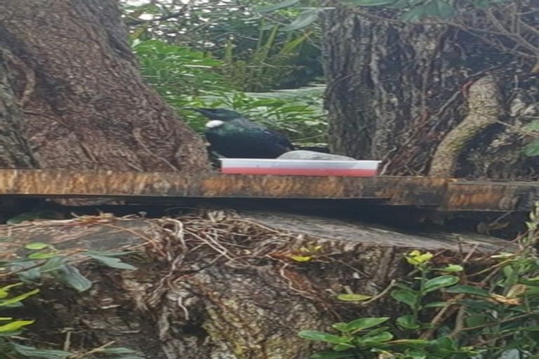 Photo of property in 6e Forest Glen, Orewa, 0931