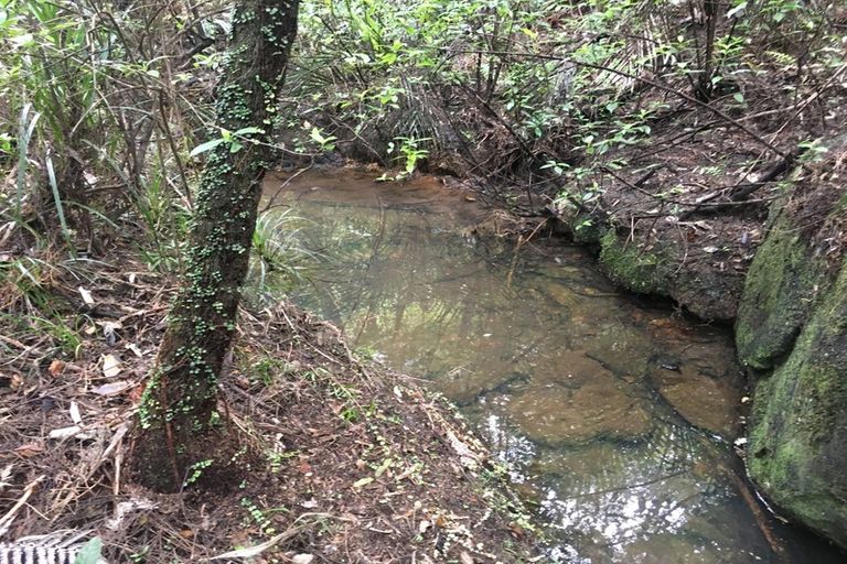 Photo of property in 112 Piha Road, Piha, 0772