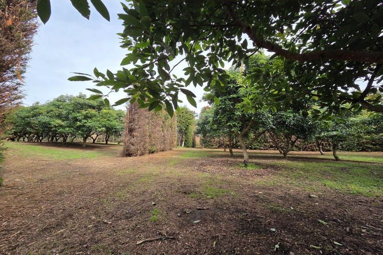 Photo of property in 244 Beach Road, Katikati, 3178